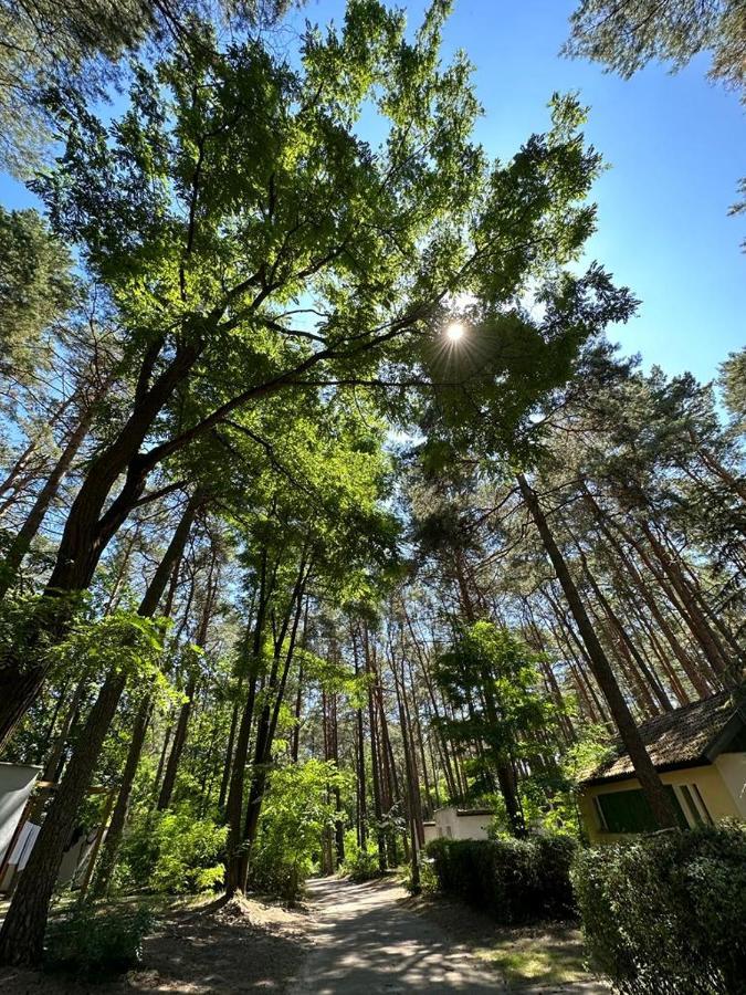 Summer House Lubniewice Dış mekan fotoğraf