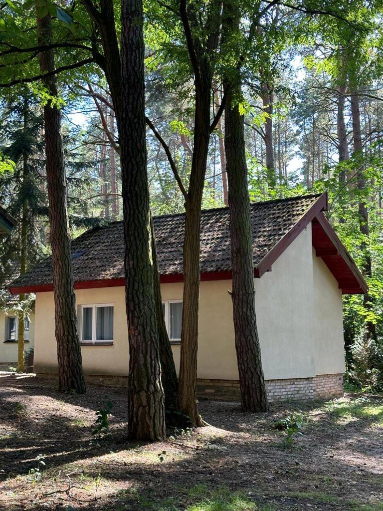 Summer House Lubniewice Dış mekan fotoğraf